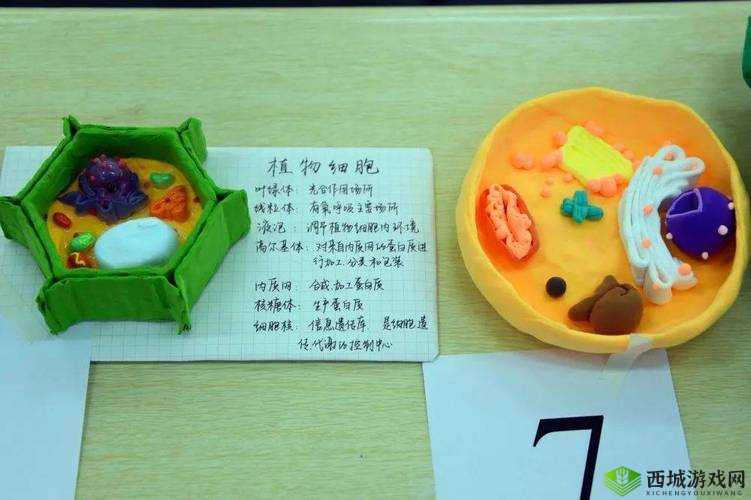 我成了生物课的教具:一段奇特经历