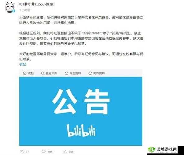 成年18款禁用B站：危害与防范