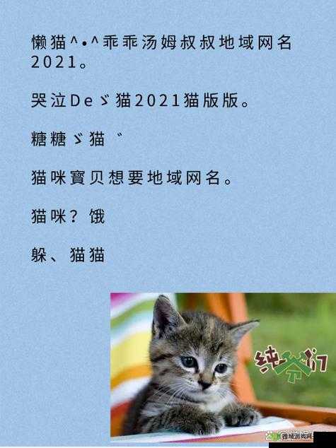 2021 猫咪最新地域网:猫咪爱好者的聚集地