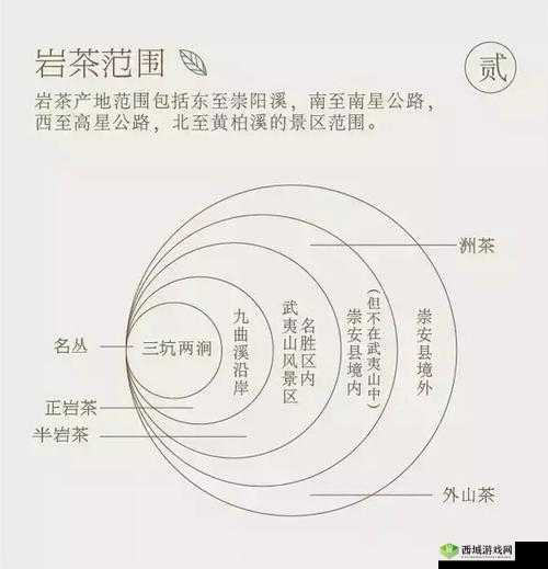 99 品一二三产区:深度解析区别