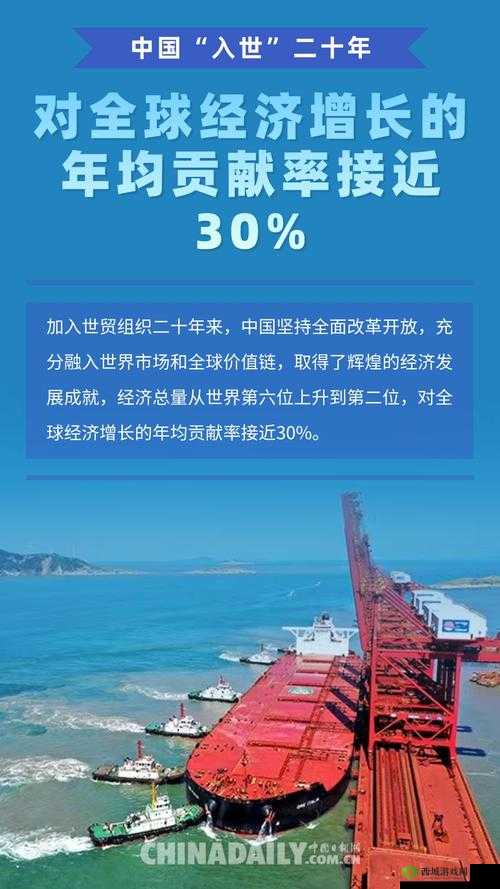 中国 20 年:发展成就与展望