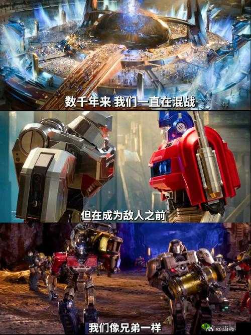 女一 VS 六男:兄弟混战