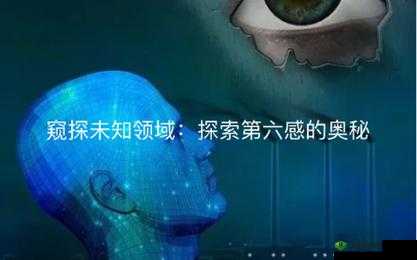内射在线：探索未知的领域
