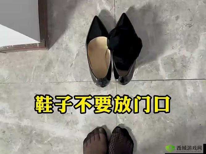 正能量不良 WWW 免费窗口：畅享优质资源