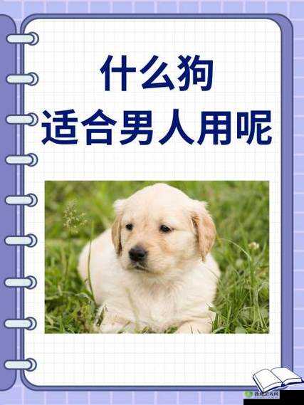 婆和我的狗老公怎么相处:探索和谐共处的方法与技巧