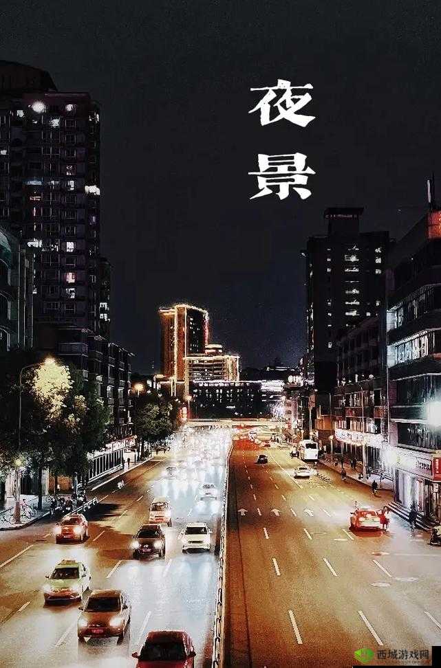 1024 夜色国产经典:经典之作的独特魅力与韵味