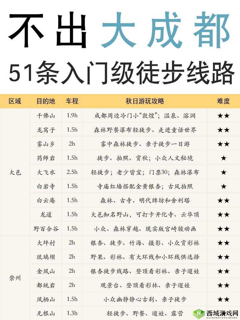 M 圈的 100 个任务及着装:探索其背后的独特魅力与价值