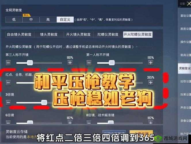 绝地求生刺激战场,专业术语全解析