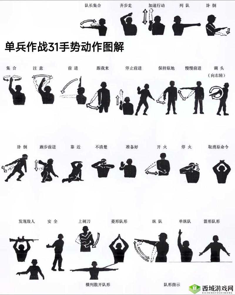 光荣使命初级士兵战术指南,掌握关键,避免盲目打野