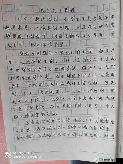晶晶极限训练日记 19：挑战自我的艰辛历程