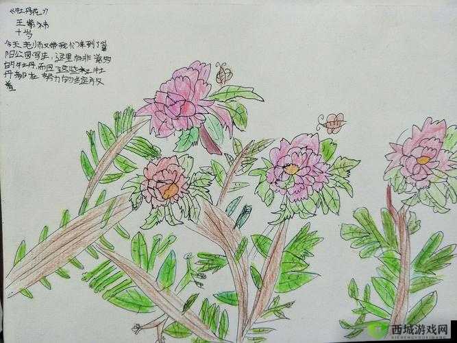 国产一卡 2 卡 3 卡 4 卡国色天香:探究其背后的秘密