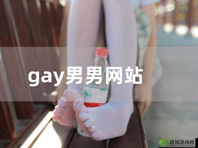 探索男同Gay片GV网站的最新热门内容:深度解析2023年最受欢迎的男同影片推荐与观看指南